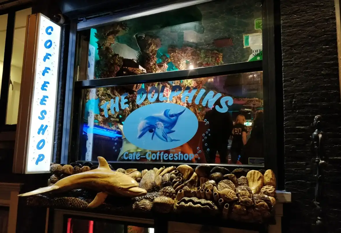 The Dolphins Coffeeshop Amsterdam – Uniek cannabiscafé met onderwaterthema vlakbij het Leidseplein