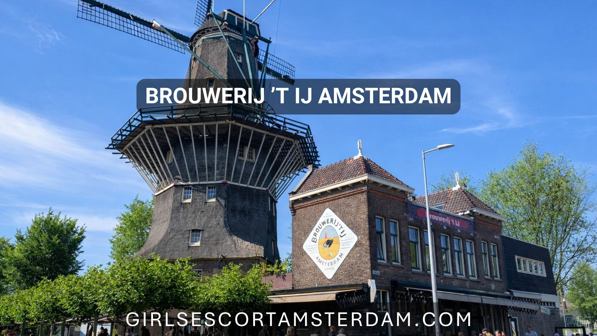 Geniet van lokaal bier bij een brouwerij onder een windmolen