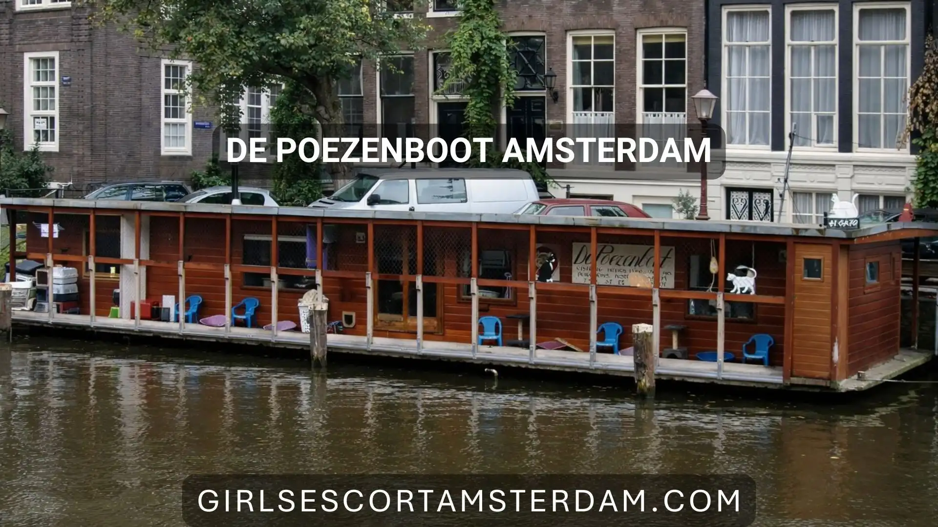 Bezoek het drijvende kattenopvangcentrum in Amsterdam